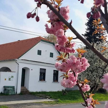 Fűszeres Porta Villa Mihalyfa Kültér fotó