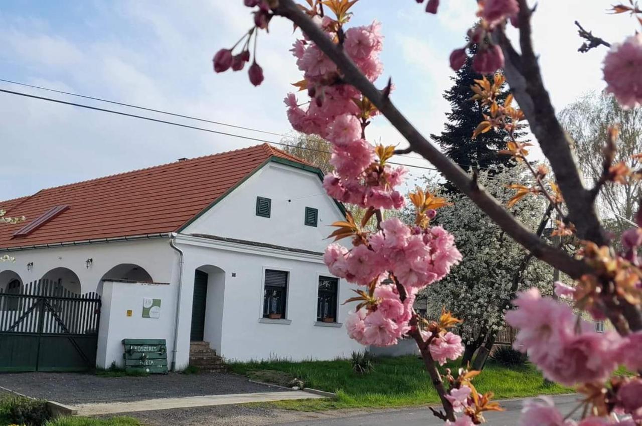 Fűszeres Porta Villa Mihalyfa Kültér fotó